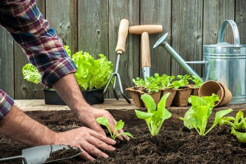Secure payment image for Gardeners Cheam with protected checkout features
