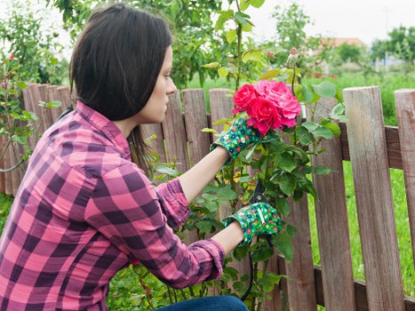 Professional gardening services maintaining a neat Cheam garden