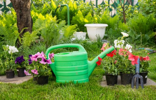 Local Cheam gardening care for lawns and borders