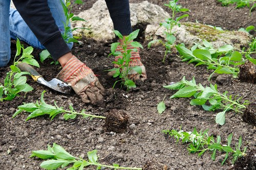 Cheam lawn treatment setup for feeding, repair, and maintenance