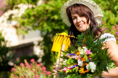 Local Cheam garden lawn showing seasonal lawn care needs