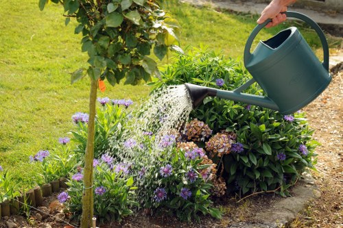 Professional gardener carrying out a garden service