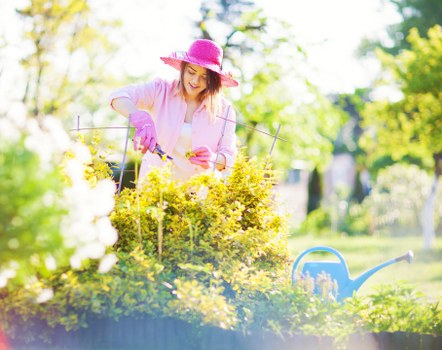 Risk assessment during garden maintenance in Cheam