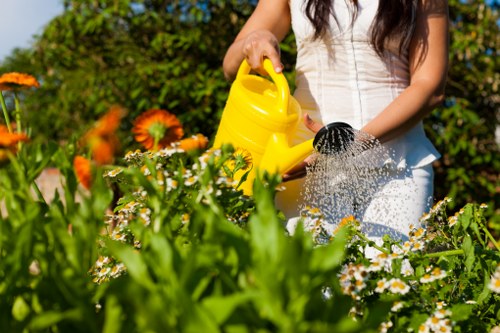 Front garden trimming and tidy-up service in Cheam