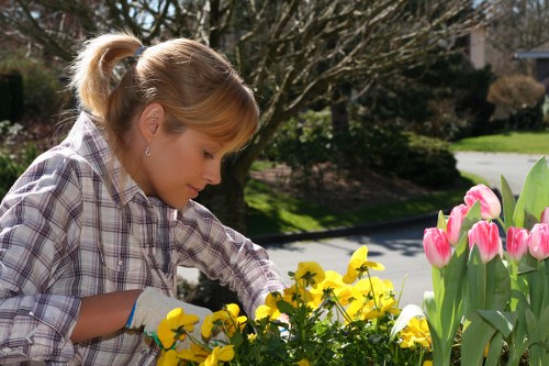 Tidy flower borders and shrub care in a Cheam garden
