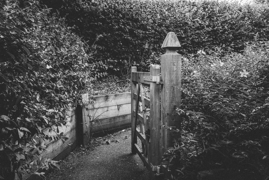 A narrow garden pathway enclosed by dense foliage and leafy shrubs on both sides, with a wooden gate at the entrance. The gate features vertical wooden slats, a sturdy post with a pointed top, and a s